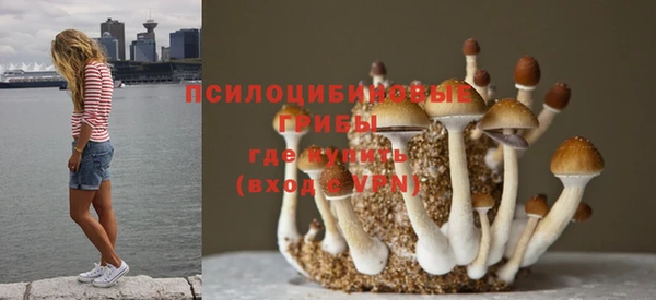 дживик Нязепетровск