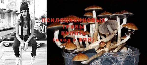 кокс Няндома